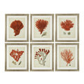 EICHHOLTZ KUNSTDRUCKE ANTIQUE RED CORALS 6ER SET 111741