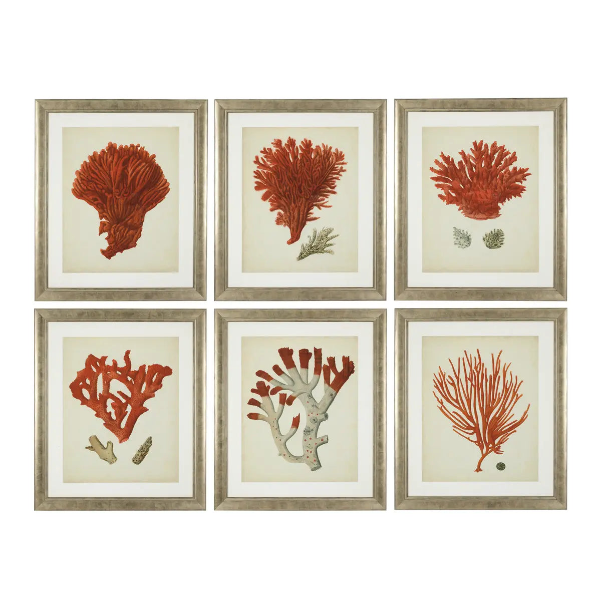 EICHHOLTZ KUNSTDRUCKE ANTIQUE RED CORALS 6ER SET 111741