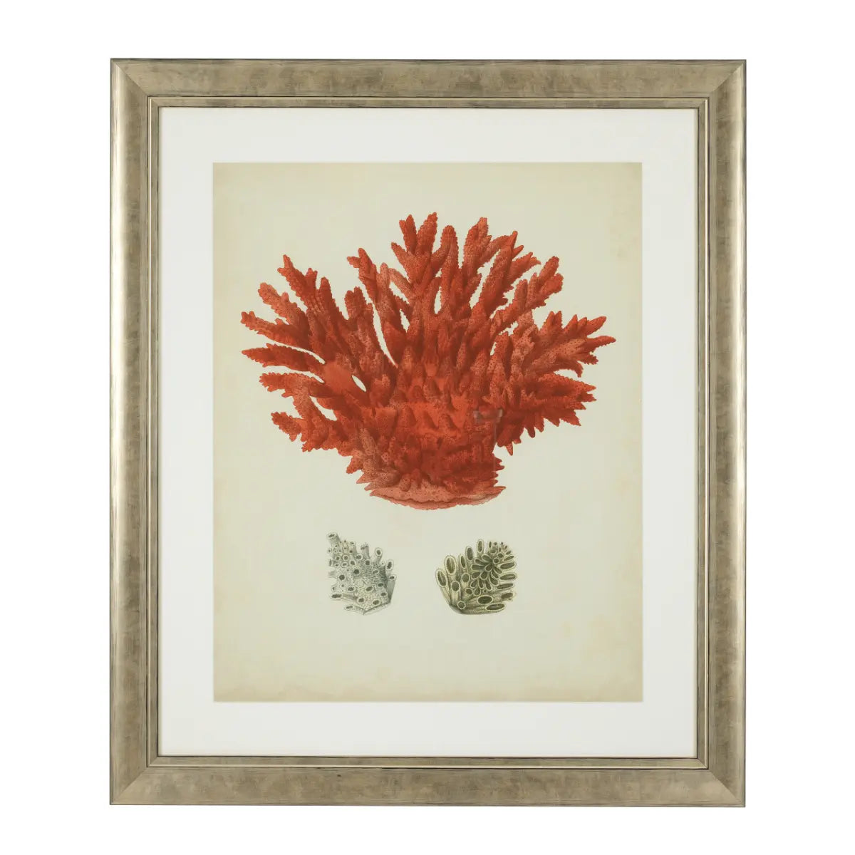 EICHHOLTZ KUNSTDRUCKE ANTIQUE RED CORALS 6ER SET 111741