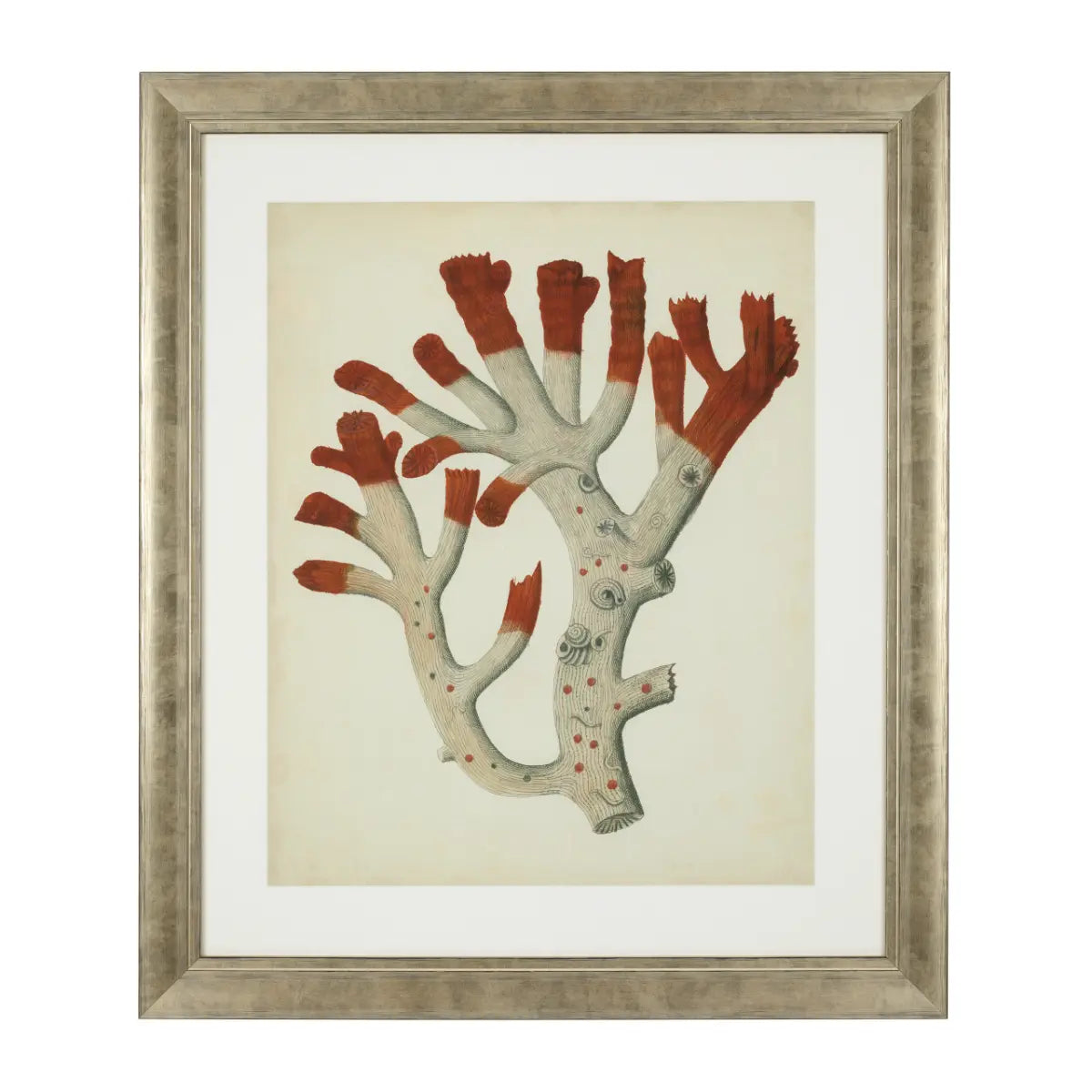 EICHHOLTZ KUNSTDRUCKE ANTIQUE RED CORALS 6ER SET 111741
