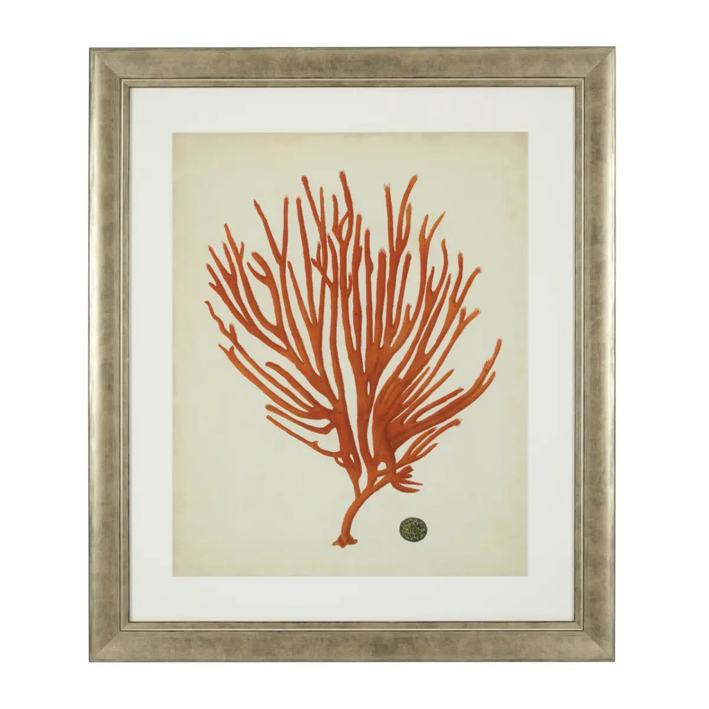 EICHHOLTZ KUNSTDRUCKE ANTIQUE RED CORALS 6er-Set 111741