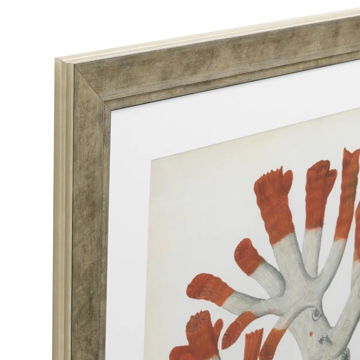 EICHHOLTZ KUNSTDRUCKE ANTIQUE RED CORALS 6ER SET 111741