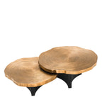 EICHHOLTZ COUCHTISCH THOUSAND OAKS 2er-Set 113295
