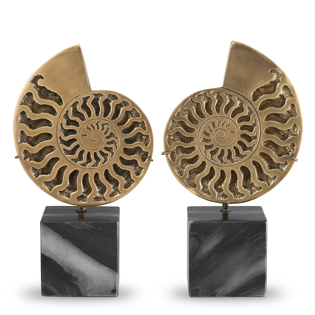 EICHHOLTZ DEKOOBJEKT AMMONITE 2ER SET 113731
