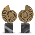 EICHHOLTZ DEKOOBJEKT AMMONITE 2er-Set 113731