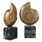 EICHHOLTZ DEKOOBJEKT AMMONITE 2er-Set 113731