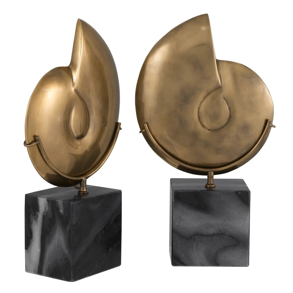 EICHHOLTZ DEKOOBJEKT AMMONITE 2ER SET 113731
