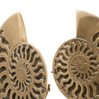 EICHHOLTZ DEKOOBJEKT AMMONITE 2er-Set 113731