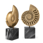 EICHHOLTZ DEKOOBJEKT AMMONITE 2er-Set 113731