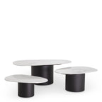 EICHHOLTZ COUCHTISCH ZANE 3er-Set 115560