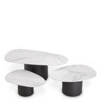 EICHHOLTZ COUCHTISCH ZANE 3er-Set 115560
