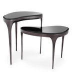 EICHHOLTZ BEISTELLTISCH ZENA 2er-Set 117619