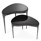 EICHHOLTZ BEISTELLTISCH ZENA 2er-Set 117619