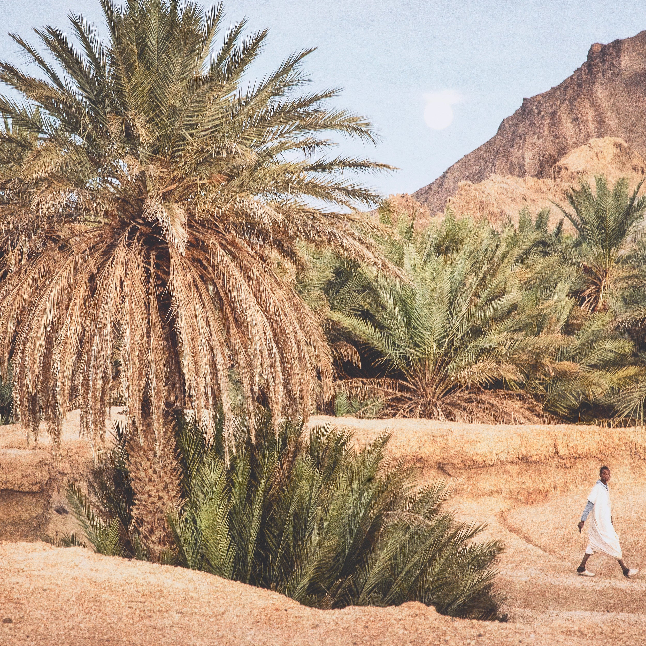 EICHHOLTZ KUNSTDRUCK MARTA ROSSIGNOL – MOROCCAN OASIS 118557 AUSSTELLUNGSSTÜCK