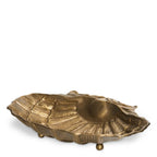 EICHHOLTZ SCHALE SEASHELL 119225