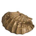 EICHHOLTZ SCHALE SEASHELL 119225