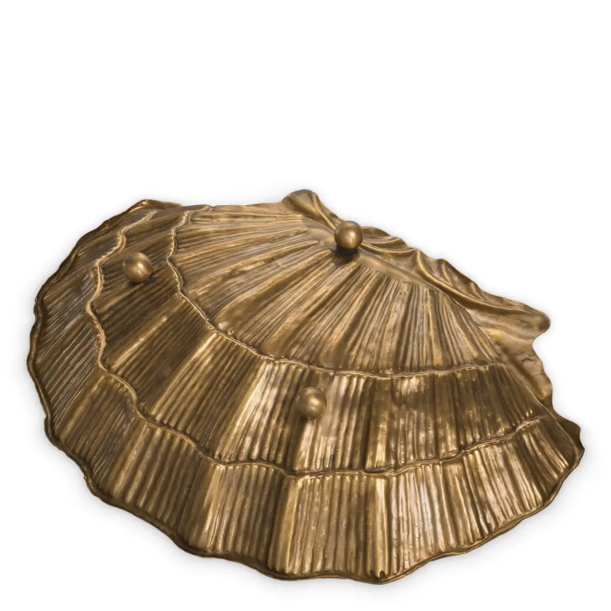 EICHHOLTZ SCHALE SEASHELL 119225