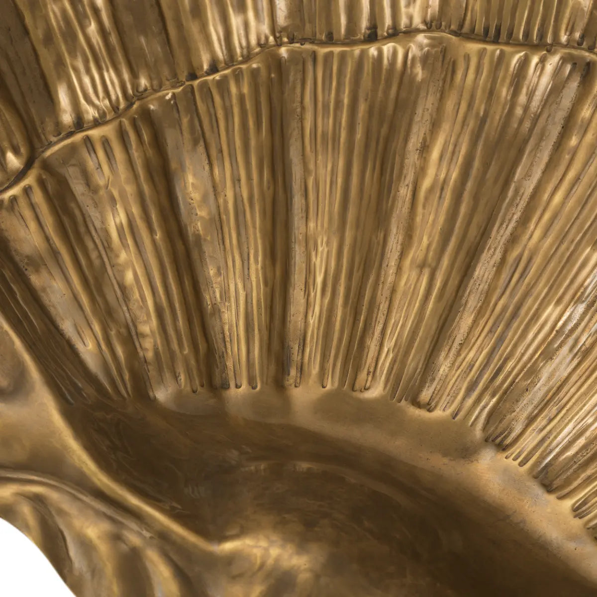 EICHHOLTZ SCHALE SEASHELL 119225