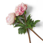 EICHHOLTZ KUNSTBLUMENSTRAUSS PFINGSTROSEN REAL TOUCH 48 STIELE 119278