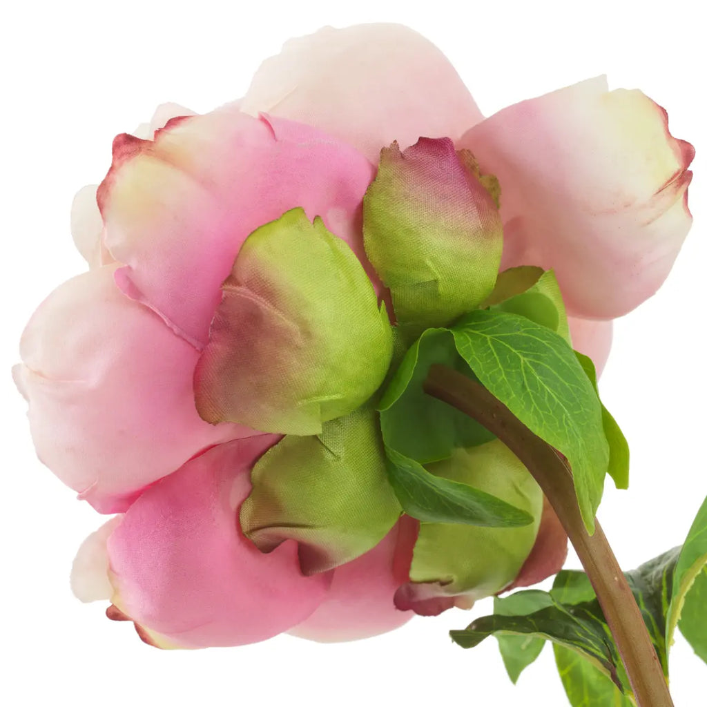 EICHHOLTZ KUNSTBLUMENSTRAUß PFINGSTROSEN REAL TOUCH 48 STIELE 119278