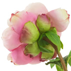 EICHHOLTZ KUNSTBLUMENSTRAUSS PFINGSTROSEN REAL TOUCH 48 STIELE 119278