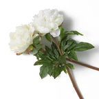 EICHHOLTZ KUNSTBLUMENSTRAUSS PFINGSTROSEN REAL TOUCH 48 STIELE 119279