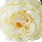EICHHOLTZ KUNSTBLUMENSTRAUSS PFINGSTROSEN REAL TOUCH 48 STIELE 119279