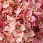 EICHHOLTZ KUNSTBLUMENSTRAUSS CYMBIDIUM ORCHIDEEN REAL TOUCH 36 STIELE 119282