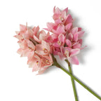 EICHHOLTZ KUNSTBLUMENSTRAUSS CYMBIDIUM ORCHIDEEN REAL TOUCH 36 STIELE 119282