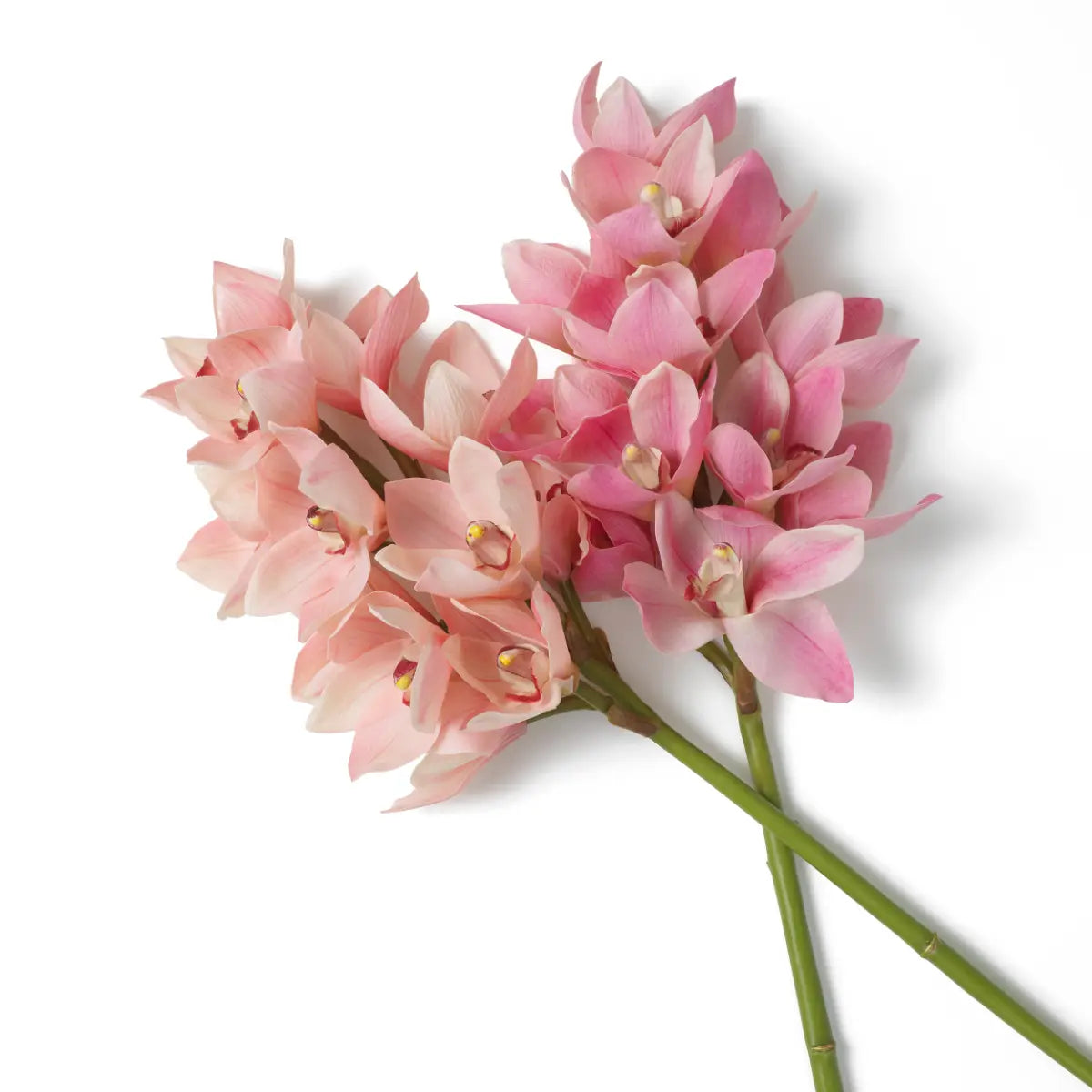 EICHHOLTZ KUNSTBLUMENSTRAUß CYMBIDIUM ORCHIDEEN REAL TOUCH 36 STIELE 119282