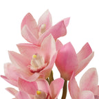 EICHHOLTZ KUNSTBLUMENSTRAUSS CYMBIDIUM ORCHIDEEN REAL TOUCH 36 STIELE 119282