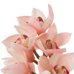 EICHHOLTZ KUNSTBLUMENSTRAUSS CYMBIDIUM ORCHIDEEN REAL TOUCH 36 STIELE 119282