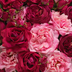 EICHHOLTZ KUNSTBLUMENSTRAUSS ROSEN REAL TOUCH 72 STIELE 119283