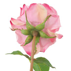 EICHHOLTZ KUNSTBLUMENSTRAUSS ROSEN REAL TOUCH 72 STIELE 119283