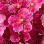 EICHHOLTZ KUNSTBLUMENSTRAUSS VANDA ORCHIDEEN REAL TOUCH 24 STIELE 119284