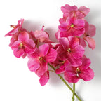 EICHHOLTZ KUNSTBLUMENSTRAUSS VANDA ORCHIDEEN REAL TOUCH 24 STIELE 119284