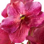 EICHHOLTZ KUNSTBLUMENSTRAUSS VANDA ORCHIDEEN REAL TOUCH 24 STIELE 119284