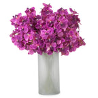 EICHHOLTZ KUNSTBLUMENSTRAUSS VANDA ORCHIDEEN REAL TOUCH 24 STIELE 119285