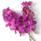 EICHHOLTZ KUNSTBLUMENSTRAUSS VANDA ORCHIDEEN REAL TOUCH 24 STIELE 119285