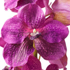 EICHHOLTZ KUNSTBLUMENSTRAUSS VANDA ORCHIDEEN REAL TOUCH 24 STIELE 119285