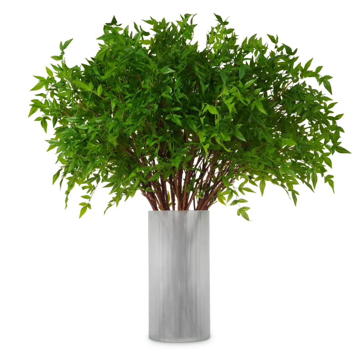 EICHHOLTZ KUNSTBLATT-BUNDLE TENDER LEAVES 36 STIELE 119288