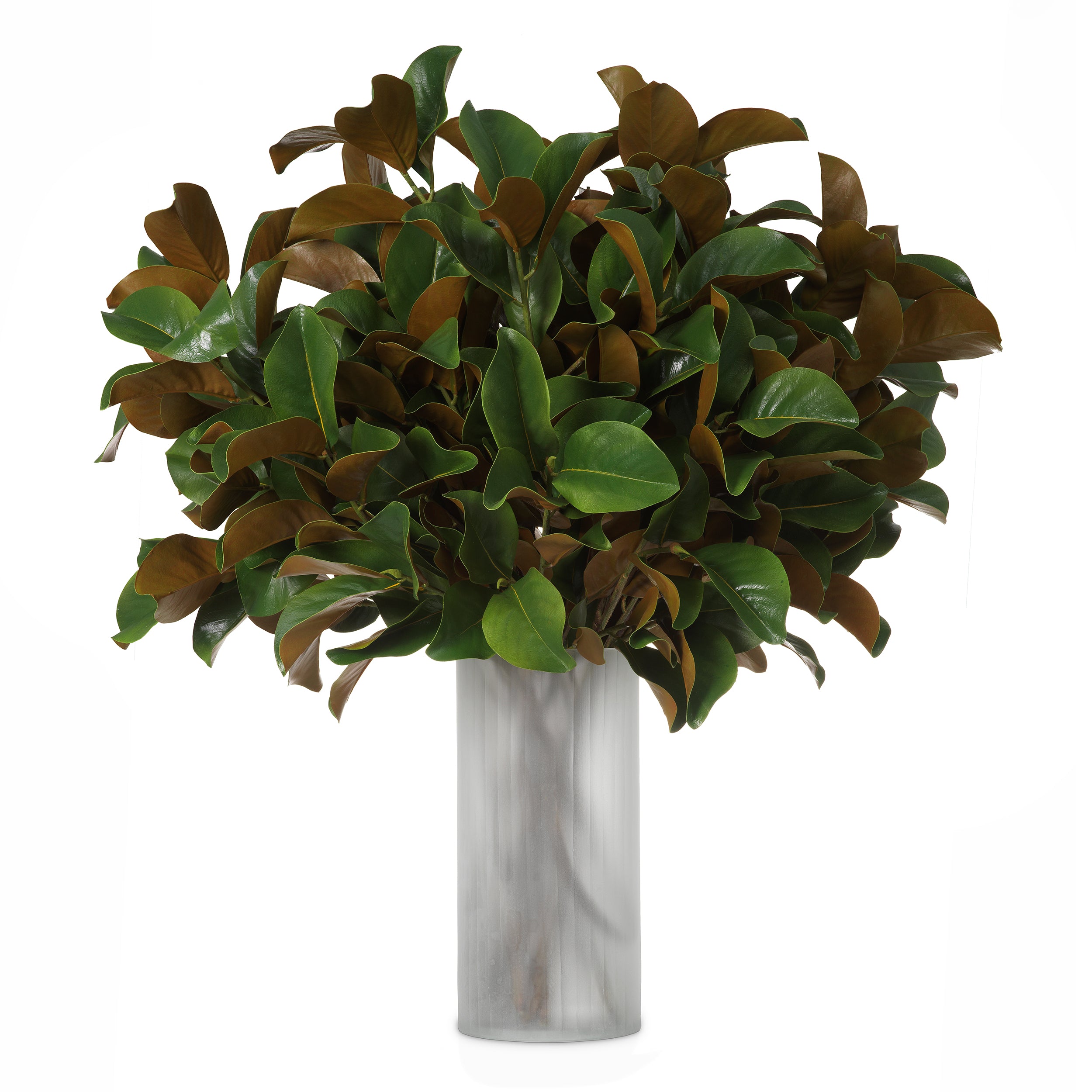 EICHHOLTZ KUNSTBLATT-BUNDLE MAGNOLIENBLÄTTER 24 STIELE 119289 AUSSTELLUNGSSTÜCK