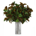 EICHHOLTZ KUNSTBLATT-BUNDLE MAGNOLIENBLÄTTER 24 STIELE 119289