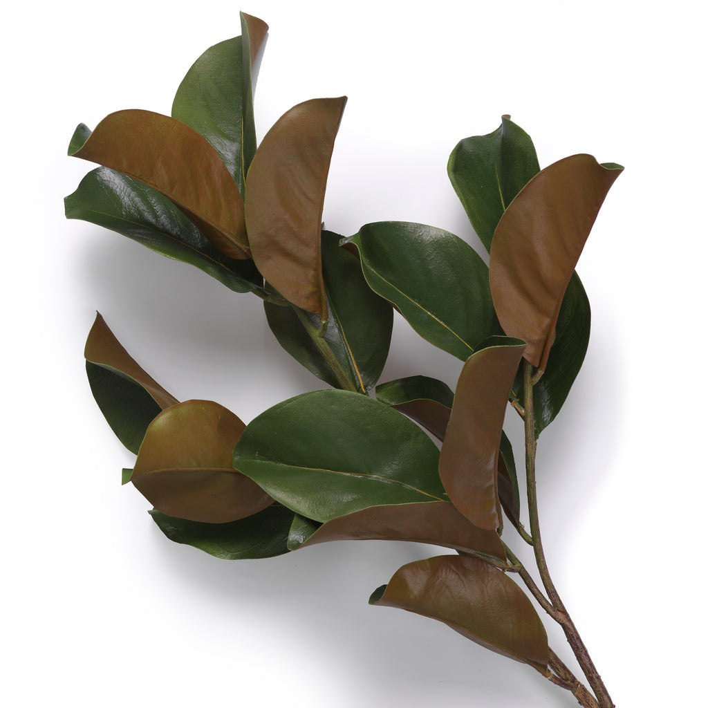 EICHHOLTZ KUNSTBLATT-BUNDLE MAGNOLIENBLÄTTER 24 STIELE 119289 AUSSTELLUNGSSTÜCK