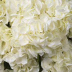 EICHHOLTZ KUNSTBLUMENSTRAUSS HORTENSIEN REAL TOUCH 48 STIELE 119291