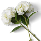 EICHHOLTZ KUNSTBLUMENSTRAUSS HORTENSIEN REAL TOUCH 48 STIELE 119291