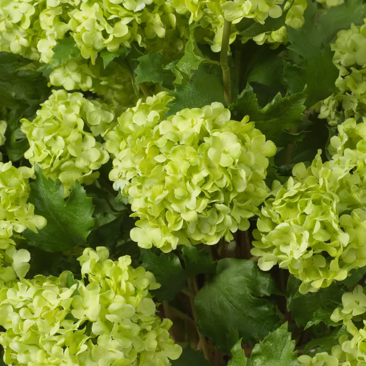 EICHHOLTZ KUNSTBLUMENSTRAUß HORTENSIEN SNOWBALL REAL TOUCH 36 STIELE 119294