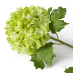 EICHHOLTZ KUNSTBLUMENSTRAUSS HORTENSIEN SNOWBALL REAL TOUCH 36 STIELE 119294