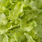 EICHHOLTZ KUNSTBLUMENSTRAUSS HORTENSIEN SNOWBALL REAL TOUCH 36 STIELE 119294