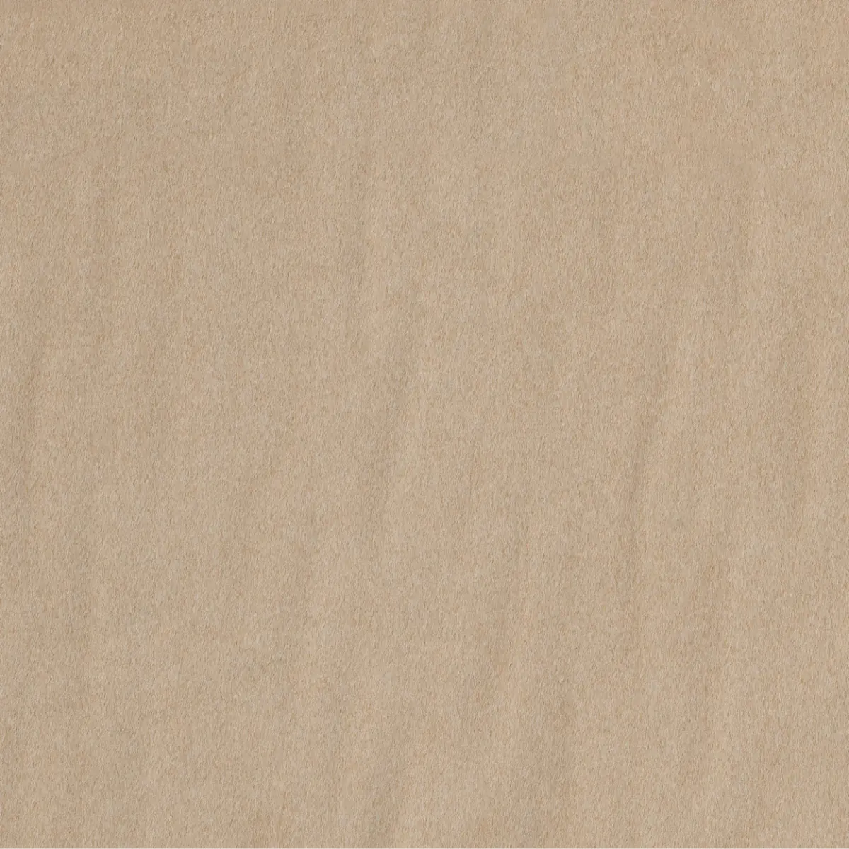 EICHHOLTZ BARHOCKER CAMEROTA 119669